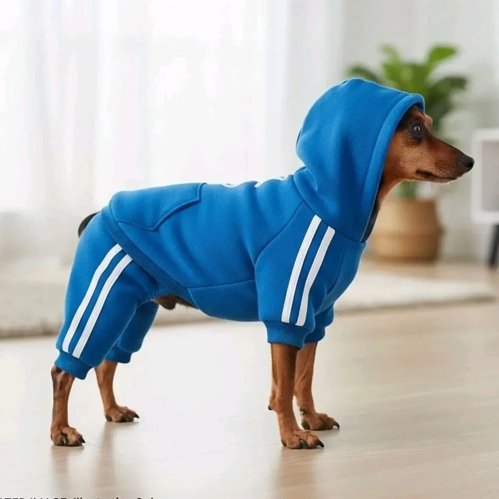 Lot 6 Dog Days Dog Tracksuit Small Blue Pet Sweatsuit Jogging Suit NEW